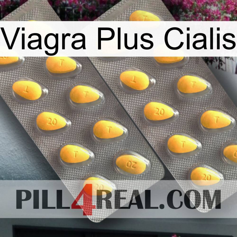 Viagra Plus Cialis cialis2